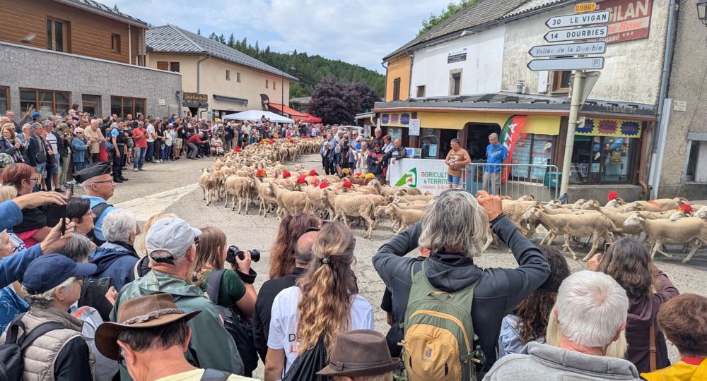 Fête de la Transhumance_Valleraugue