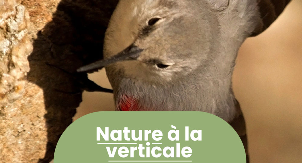 Rendez-vous Nature - Animations et balades gratuites à Sainte-Anastasie - Novembre