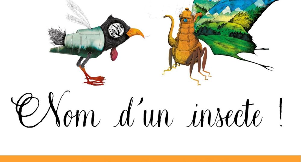Nom d'insecte