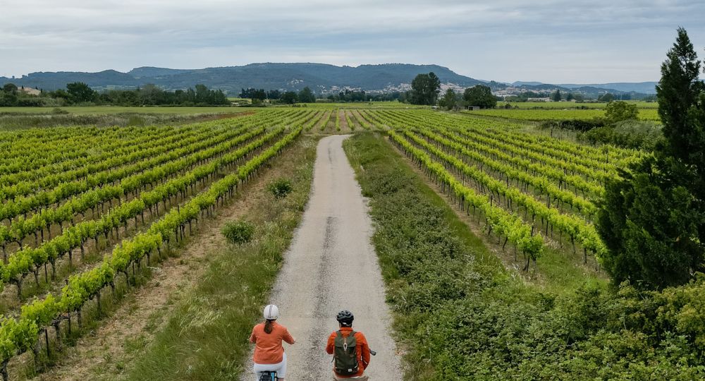 Boucle cyclodécouverte Vigneronne_Laudun-l'Ardoise