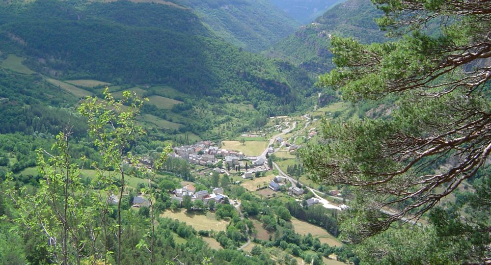 TREVES