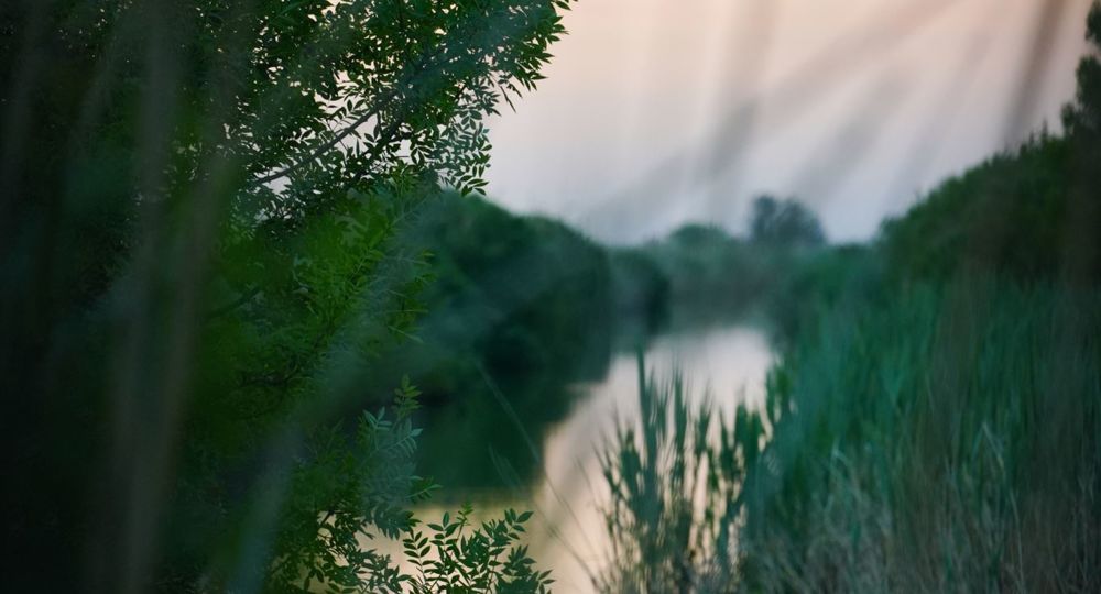 Mas des Pointes - Gîte La Paillère_Beauvoisin