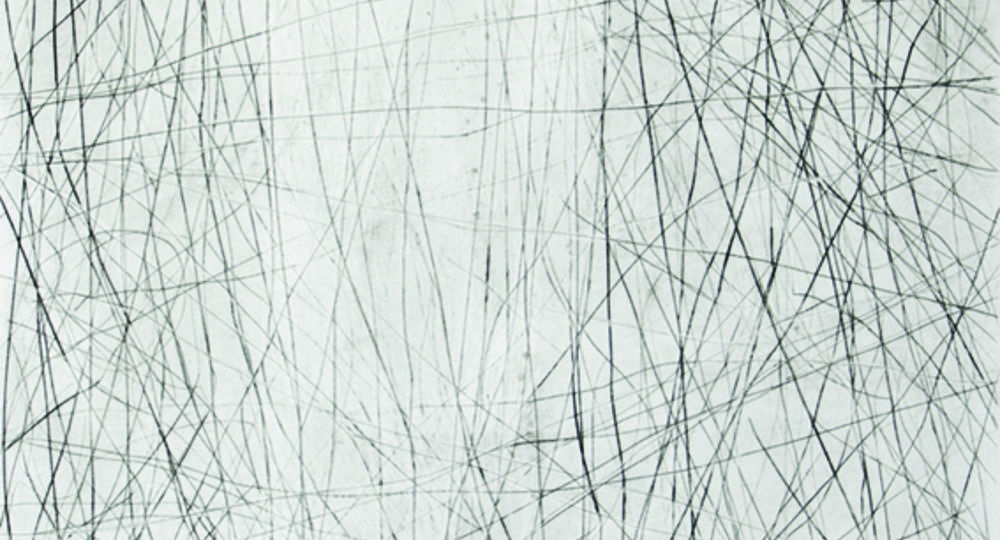 Eve Luquet - Artiste (Gravure et dessin)_Sauve
