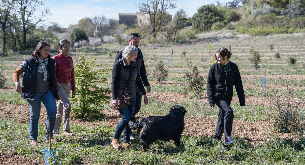 Maison de Garniac - Producteur de Truffe