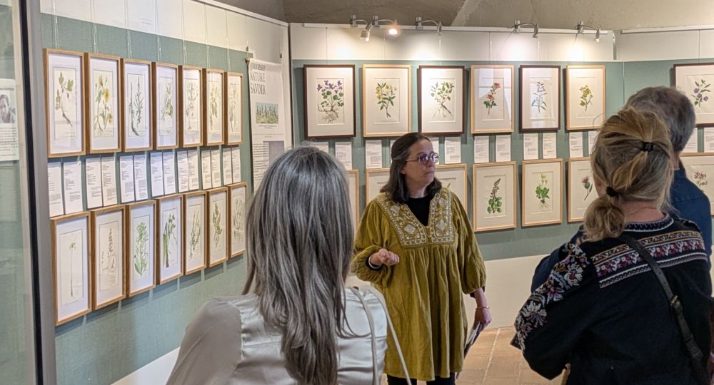 Visite guidée de l'exposition 