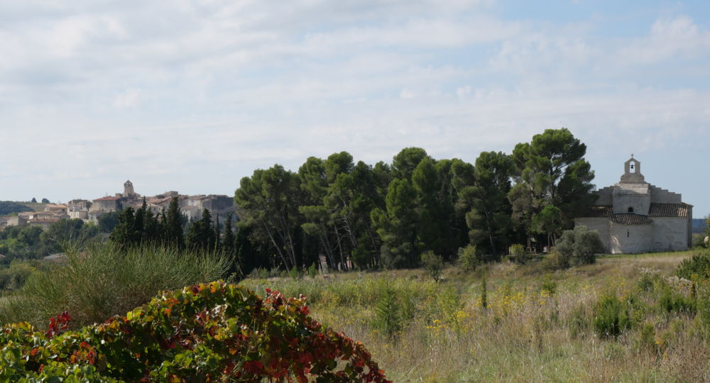 Boucle de la Vigne