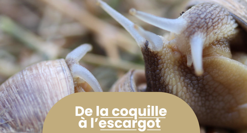 Rendez-vous Nature - Animations et balades gratuites à Nîmes