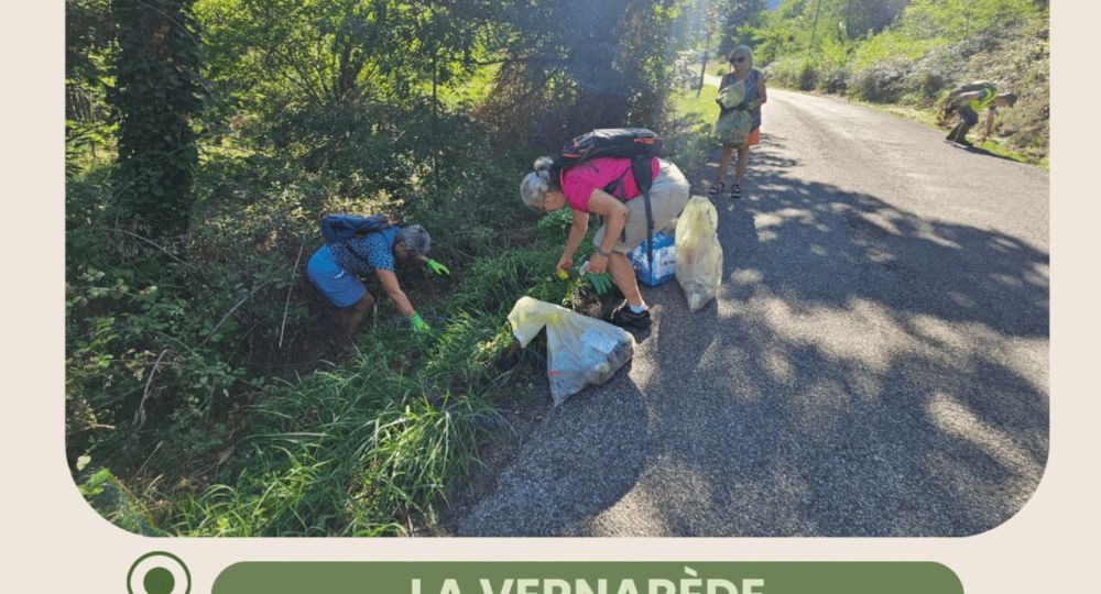 Opération zéro-déchets dans ma forêt_La Vernarède