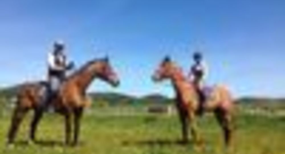 Le Haras de Durfort_Durfort-et-Saint-Martin-de-Sossenac