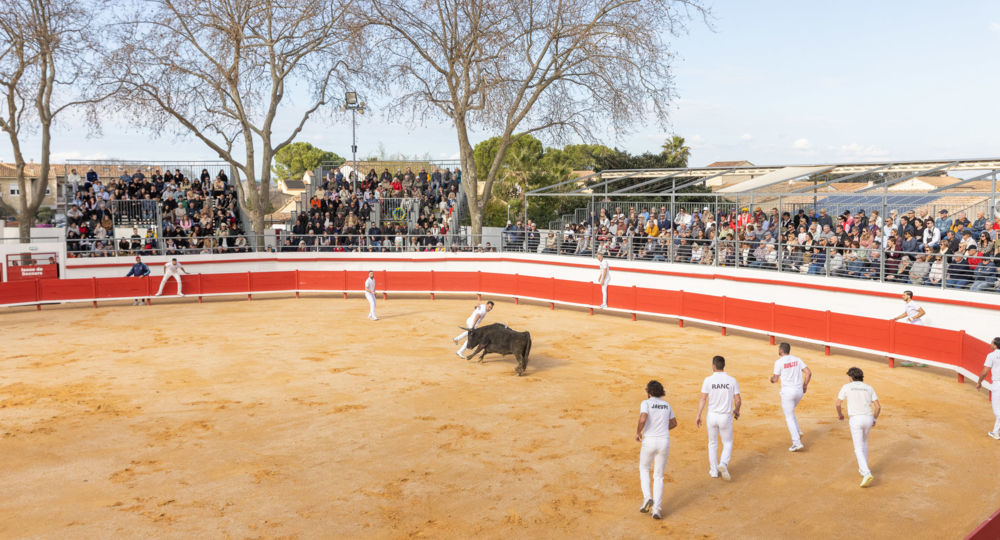 Hommage à Fanfonne Guillierme_Aimargues
