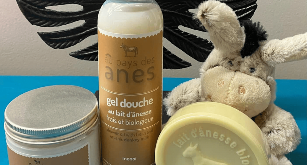 Cèze Avenue_Saint-Ambroix