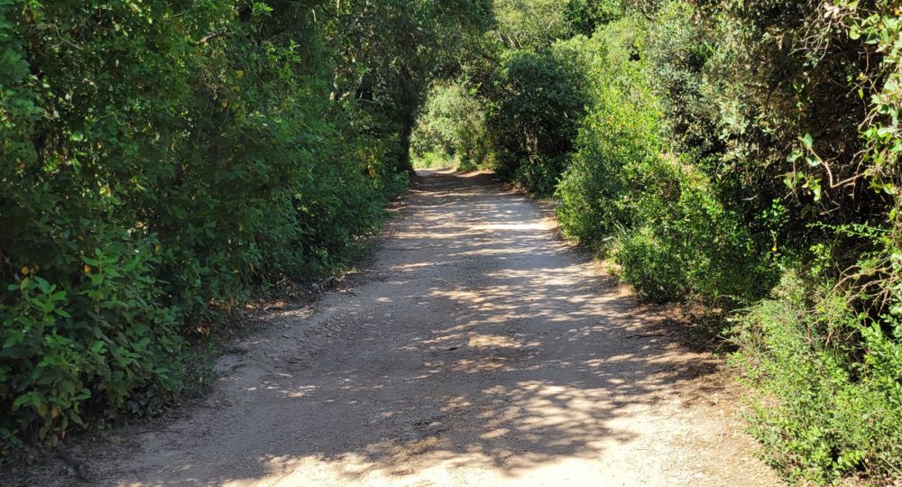 Sentier La Madone_Saint-Quentin-la-Poterie