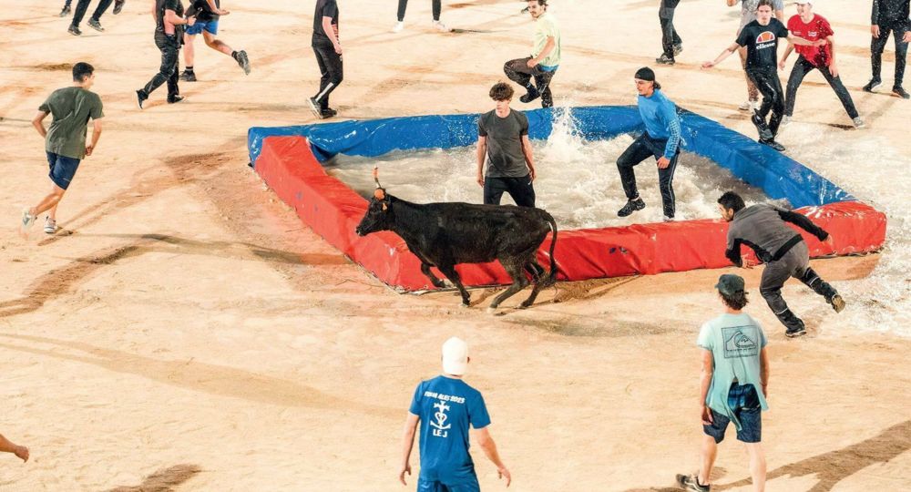 Toro piscine
