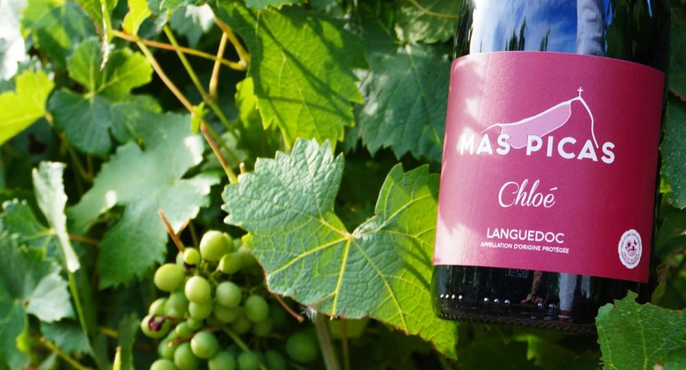 Mas Picas_Corconne