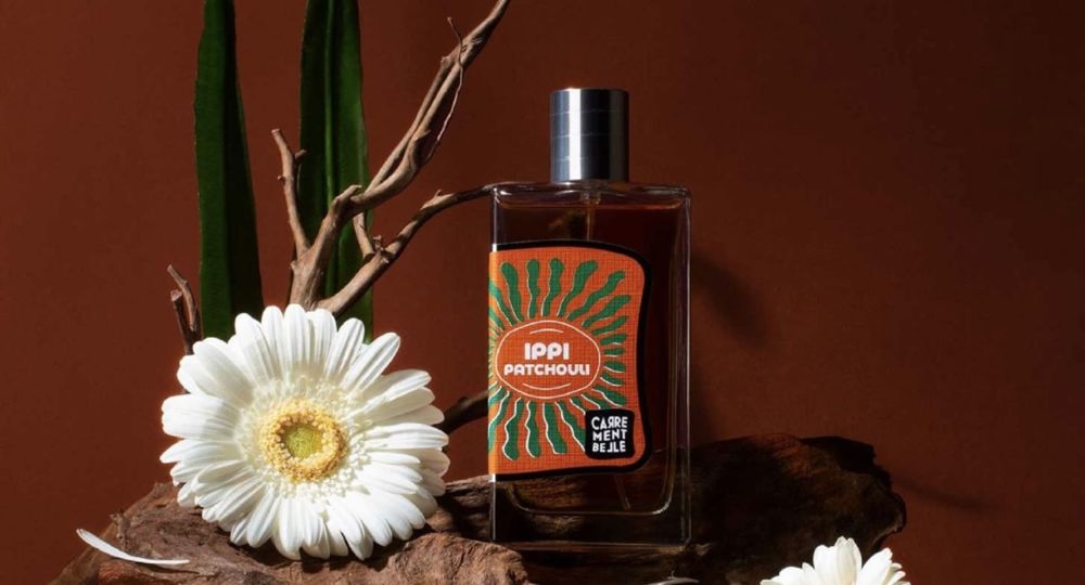 Cèze Avenue_Saint-Ambroix