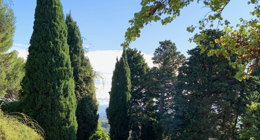 Conférence balade «De la fleur de la botanique à l’art»_Villeneuve-lez-Avignon