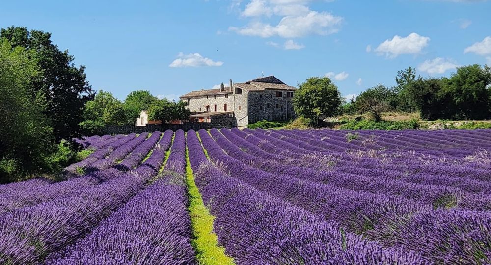 Gîtes Le Mas de Linde : La Rouveyrasse