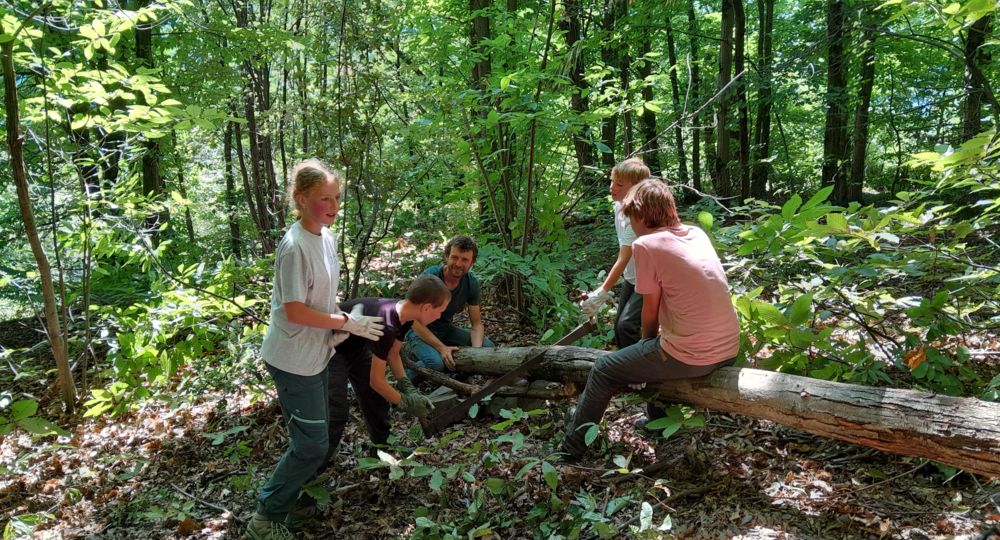 Stages en forêt de 8 à 18 ans_Malons-et-Elze