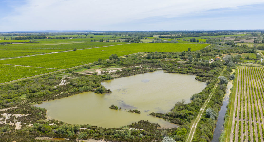 La Réserve du Petit Rhône_Vauvert