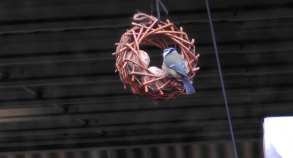 Envolée Vannières - Tressage roue à oiseaux_Vallabrègues