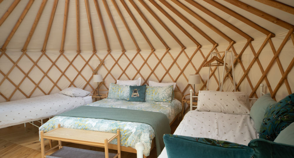 Les Yourtes de Provence : Darwin