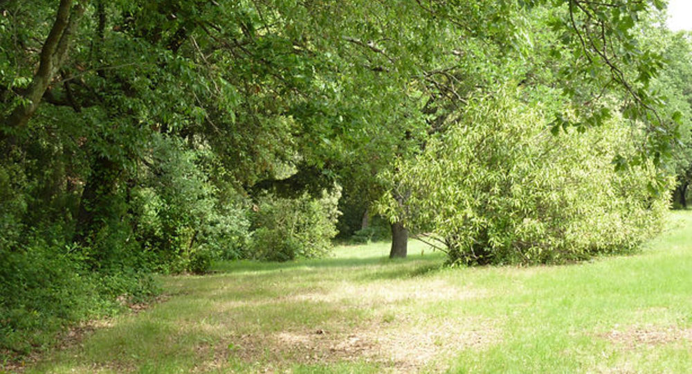 Camping à la ferme le Mas de Campagnani_Liouc