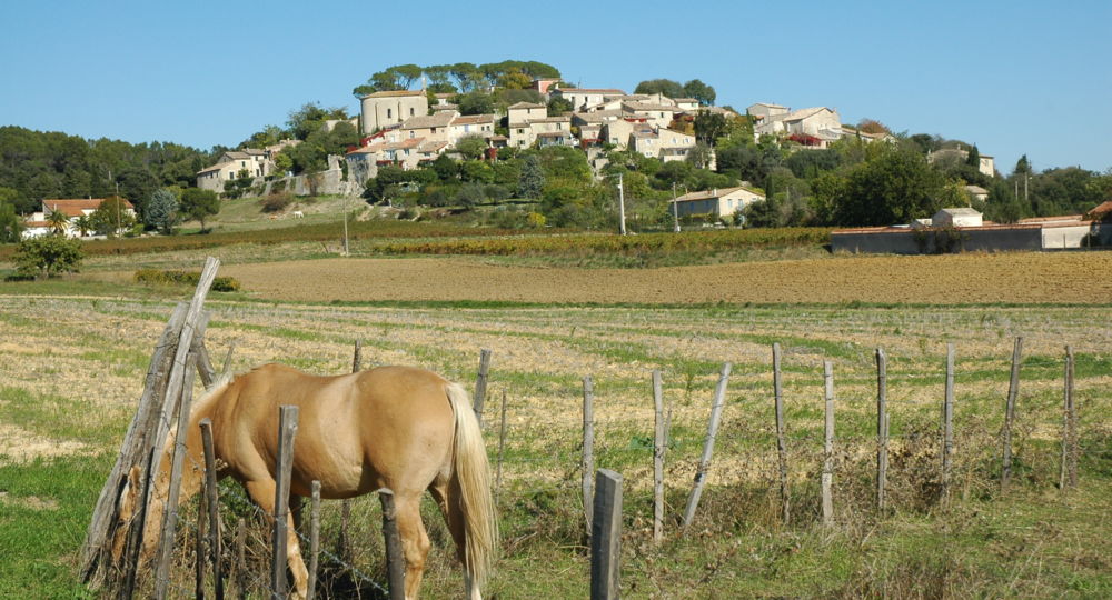 Boucle d'Orthoux_Orthoux-Sérignac-Quilhan