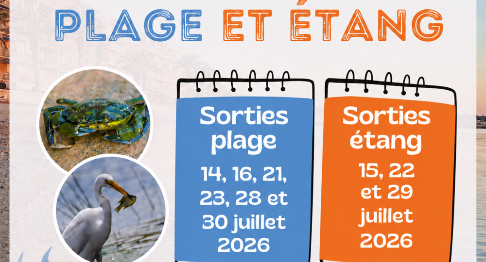 SORTIES PLAGE ET ETANG
