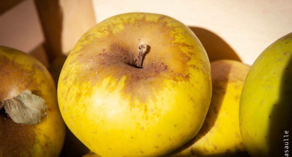 Les avant-goûts de la foire - Atelier cuisine_Aulas