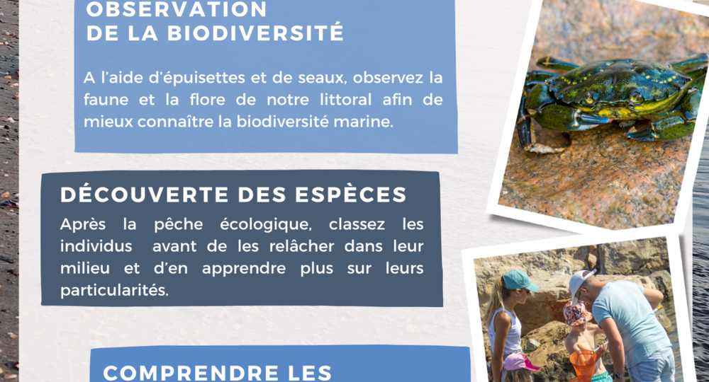 AFFICHE SORTIE PLAGE