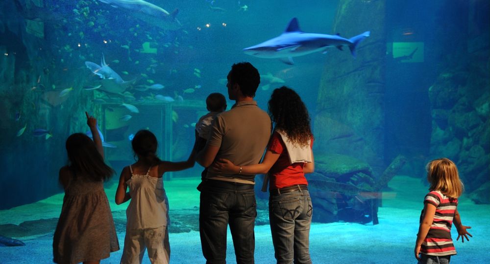 Halloween au Seaquarium_Le Grau-du-Roi