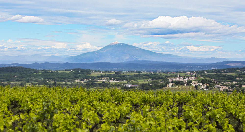Saint Paulet Vignobles_Saint-Paulet-de-Caisson