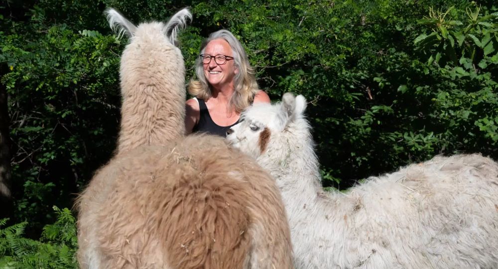 Balade avec des Lamas_Colognac
