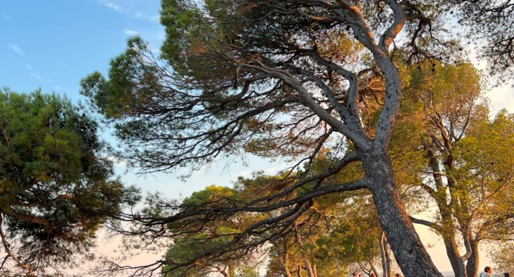 Apéro-panorama à l'Abbaye de Saint-Roman_Beaucaire