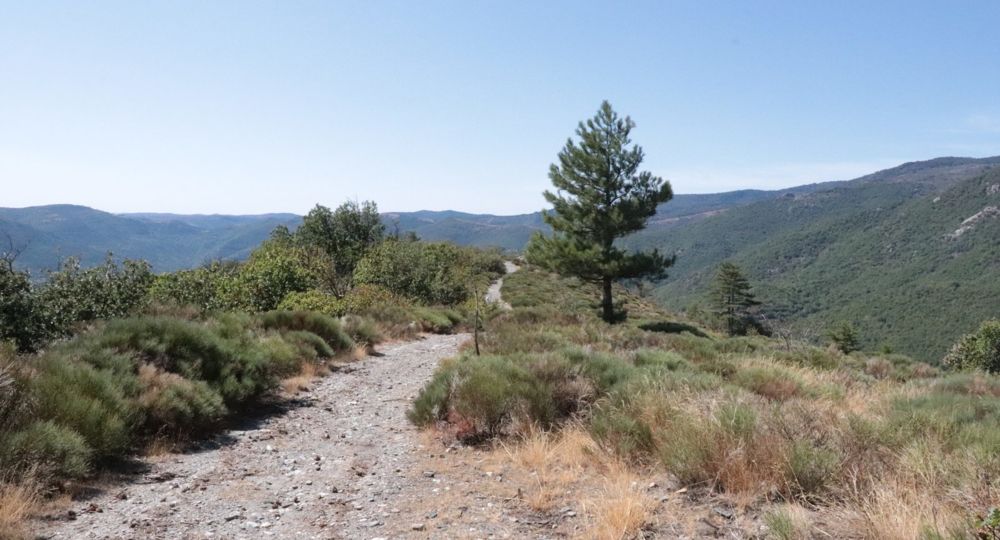 Les paysages du Trail du Rocher du Comte
