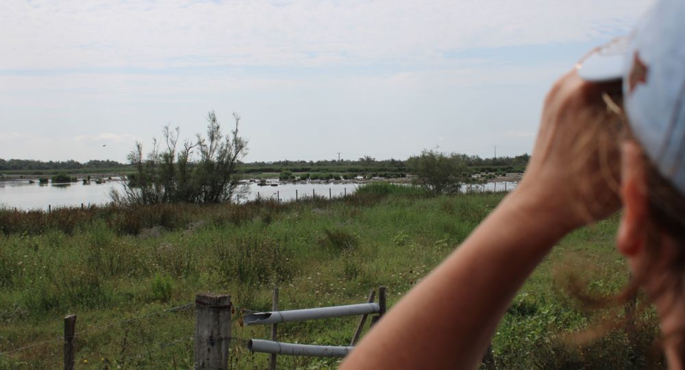 La Camargue d'Antan - Balade en 4X4_Beauvoisin
