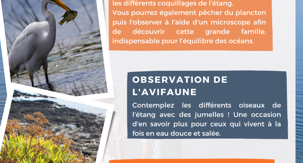 AFFICHE SORTIE ETANG