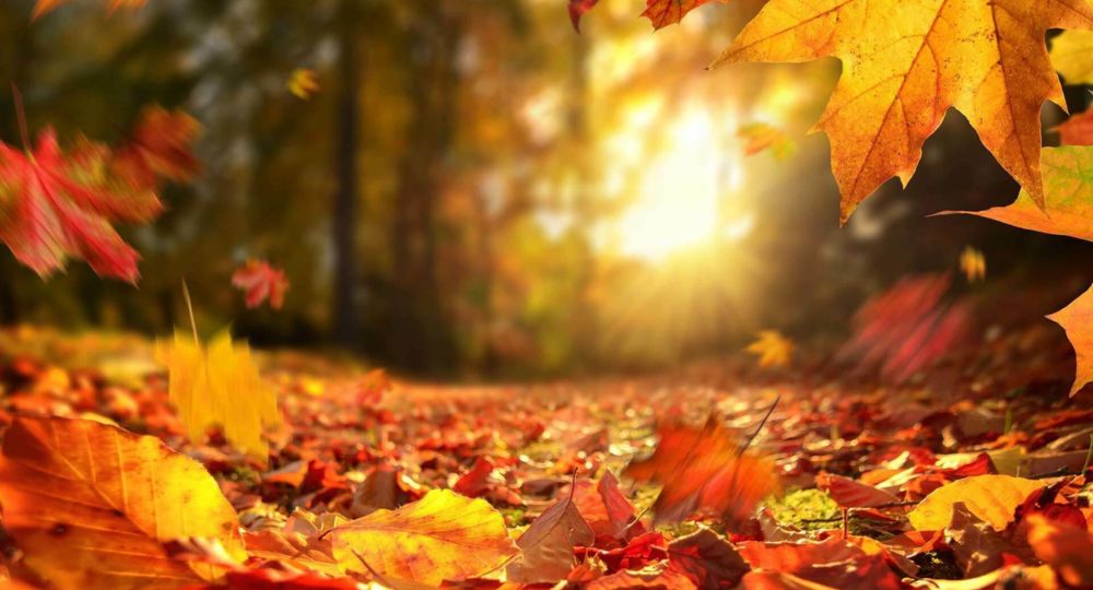Fête de l’automne