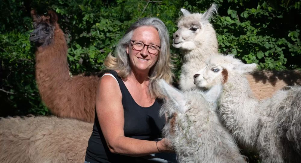 Balade avec des Lamas_Colognac