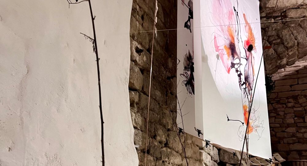 Alelier d'artiste : Susanne Tiemann-Rittersberger_Barjac