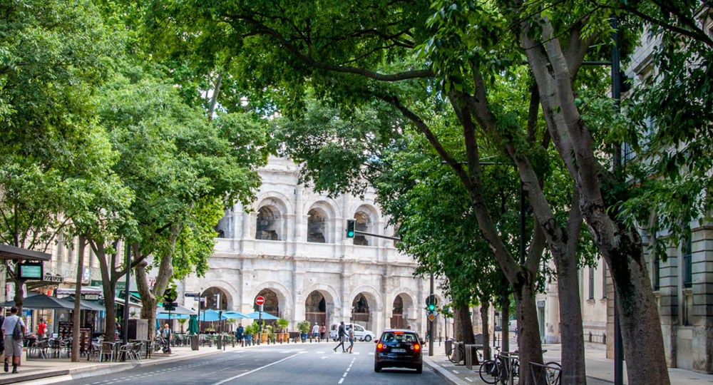 Comme un arbre dans la ville_Nîmes