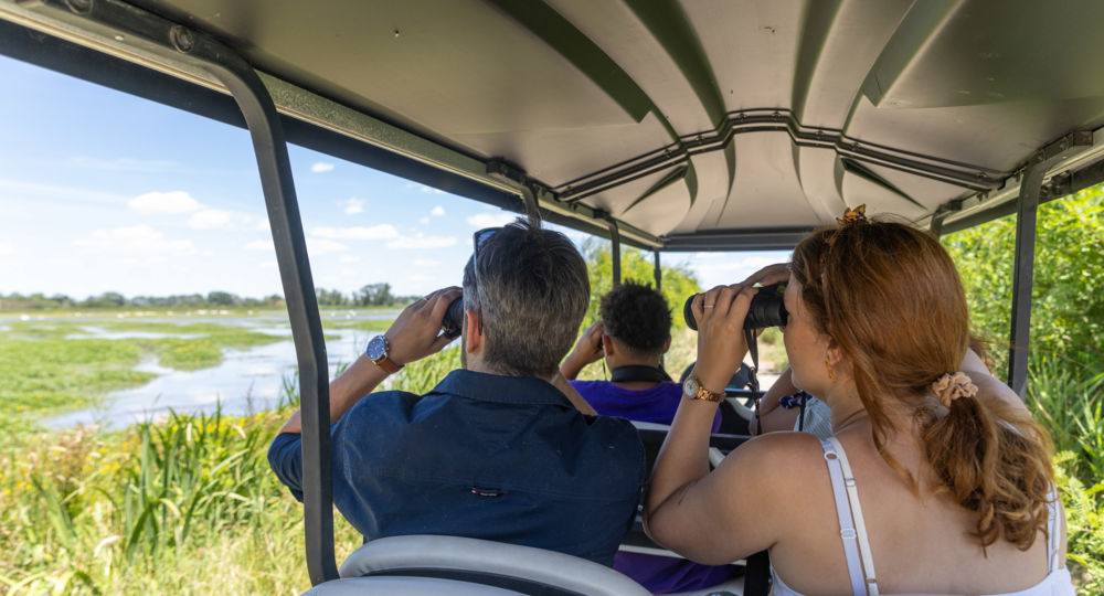 Safari en voiturette électrique - Réserve du Petit Rhône_Vauvert