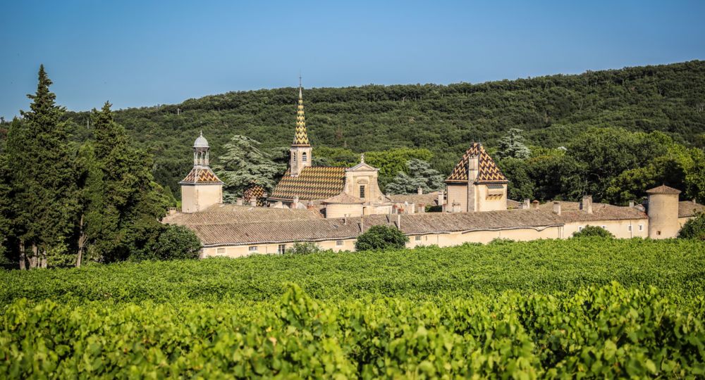 Forêt domaniale de Valbonne_Saint-Paulet-de-Caisson