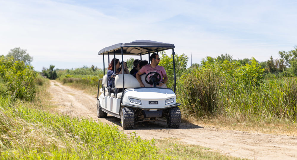 Safari en voiturette électrique - Réserve du Petit Rhône_Vauvert