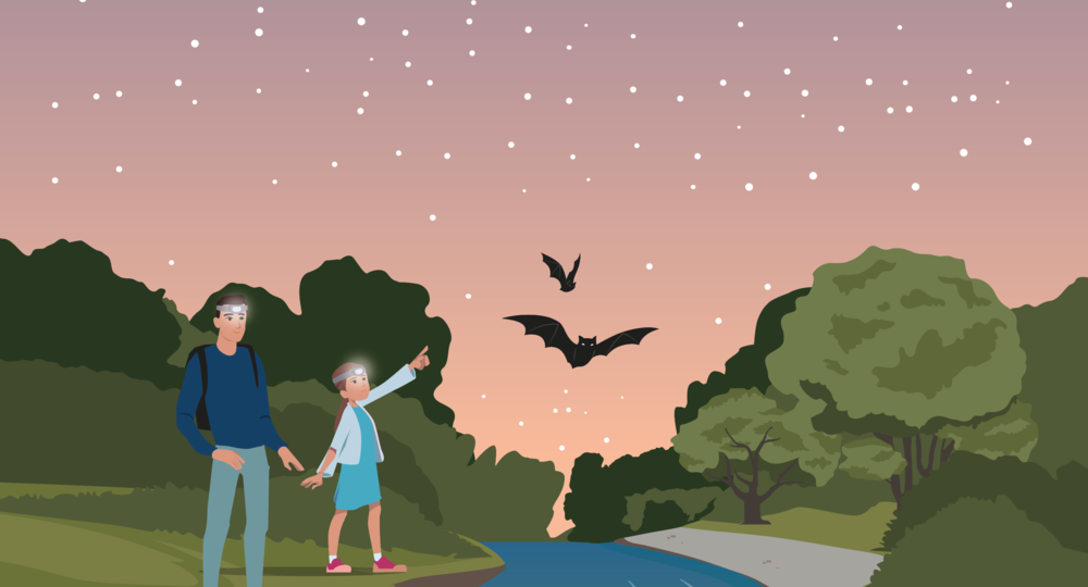 Les randonnées nocturnes à Cornillon_Cornillon
