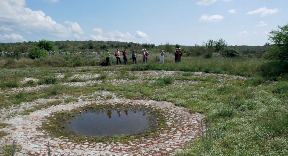 A la découverte de l'agropastoralisme méditerranéen et de ses paysages_Campestre-et-Luc