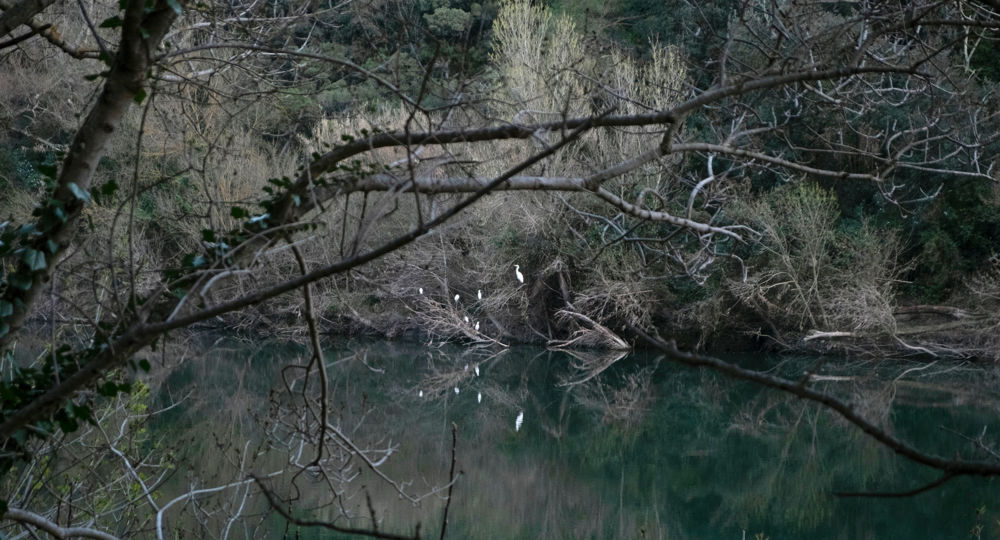 Exposition photographique - Dans la gorge du dragon_Vers-Pont-du-Gard