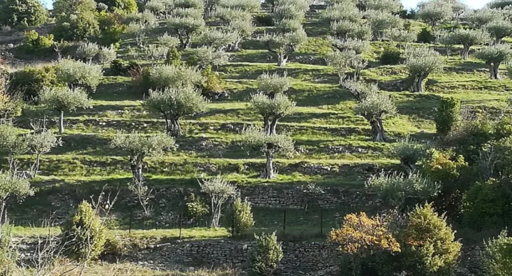 Le moulin des Mages_Les Mages