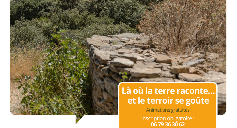 Terroirs vagabonds - Sernhac
