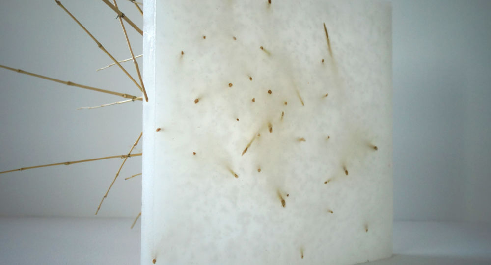 Exposition sculptures - Regarder l'univers respirer - Régis Lesserteur